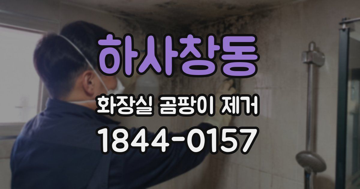 하사창동 화장실 곰팡이 제거