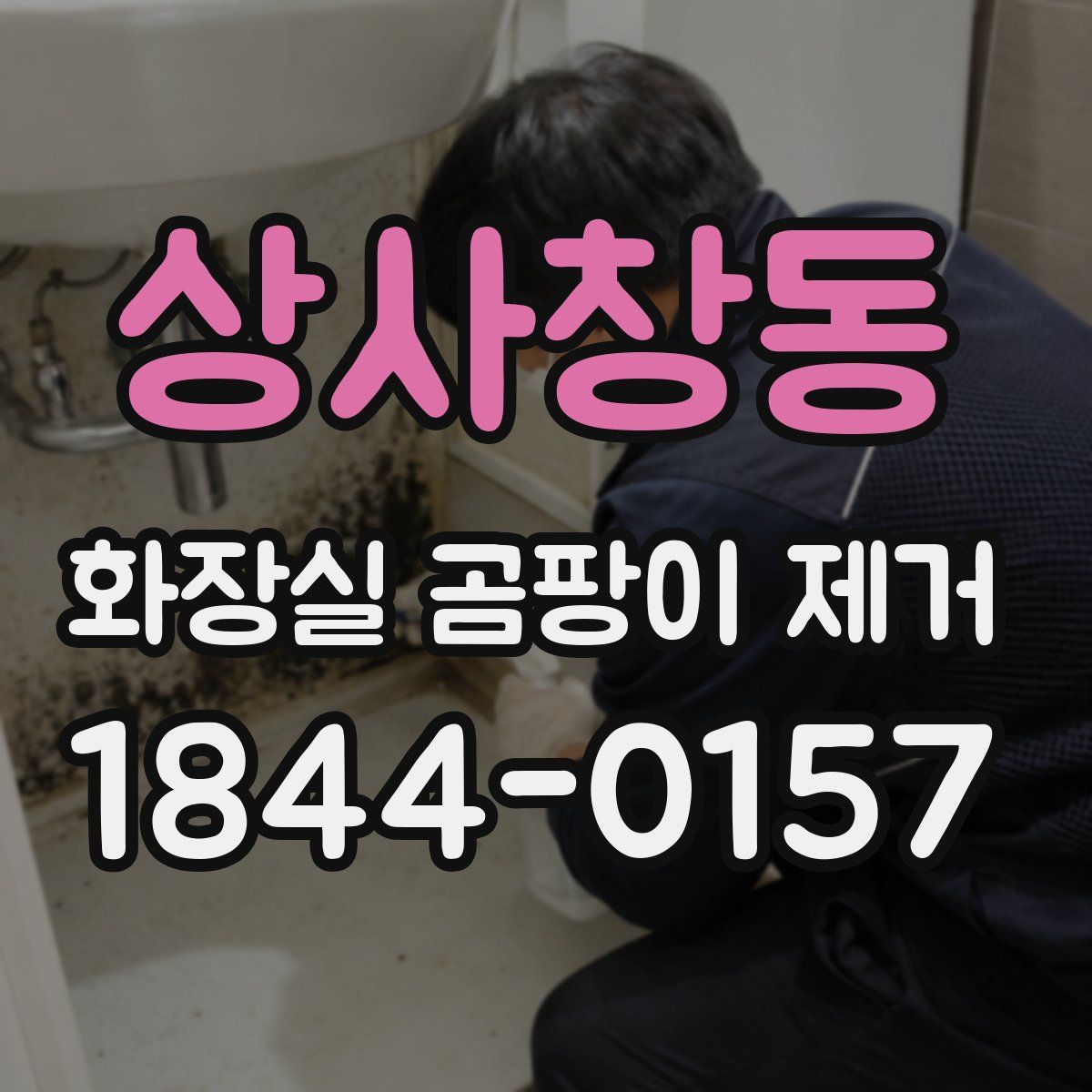 상사창동 화장실 곰팡이 제거