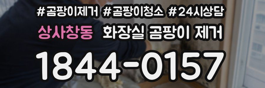 상사창동 화장실 곰팡이 제거