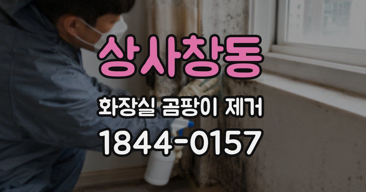 상사창동 화장실 곰팡이 제거