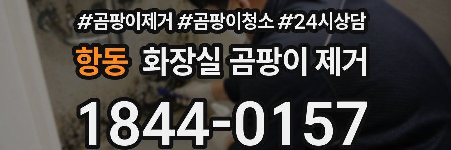 항동 화장실 곰팡이 제거