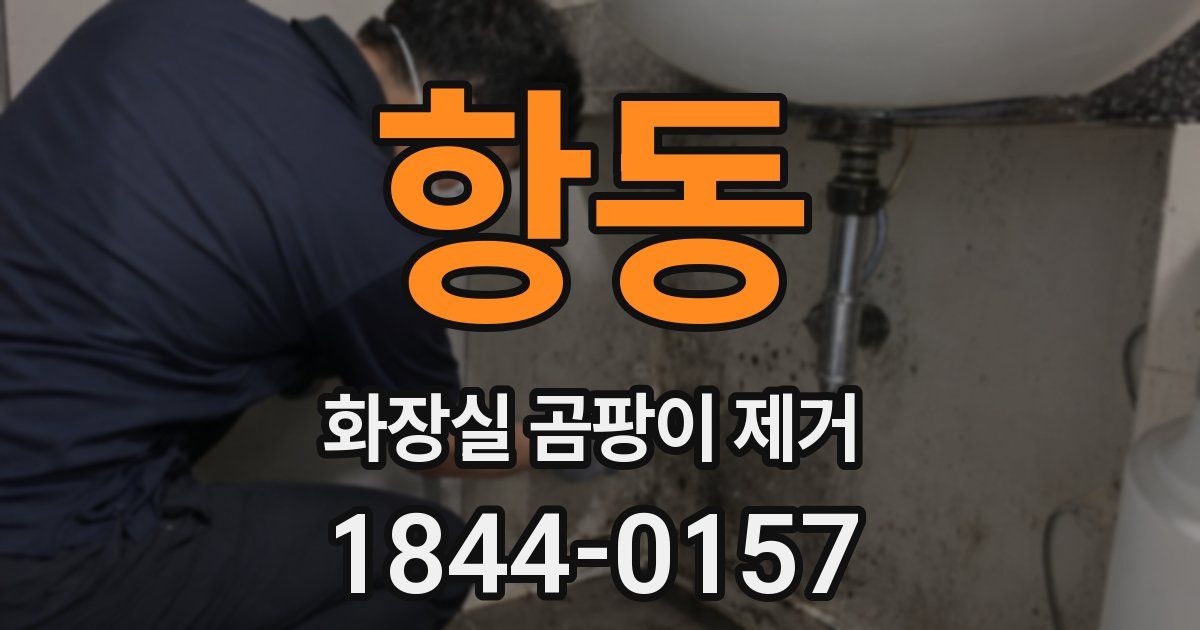 항동 화장실 곰팡이 제거