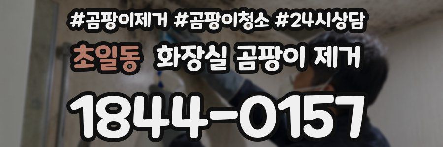 초일동 화장실 곰팡이 제거