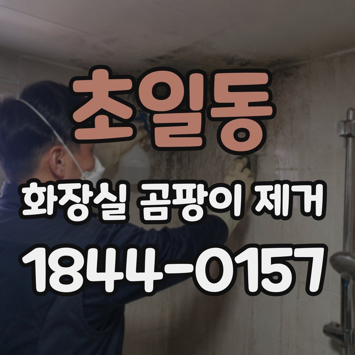 초일동 화장실 곰팡이 제거