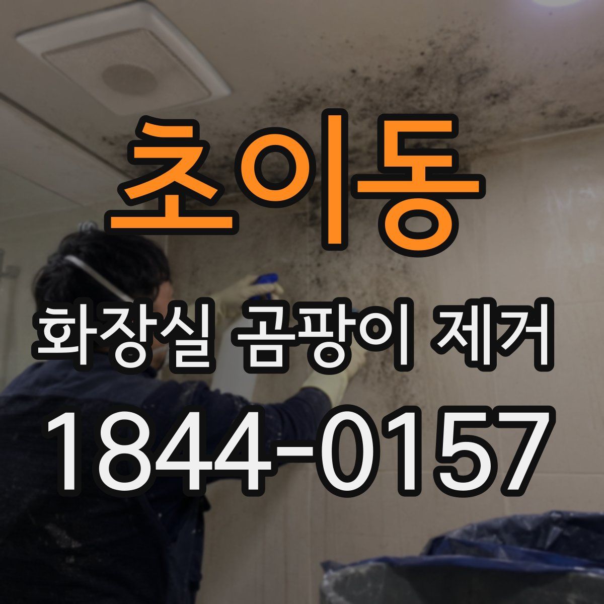 초이동 화장실 곰팡이 제거