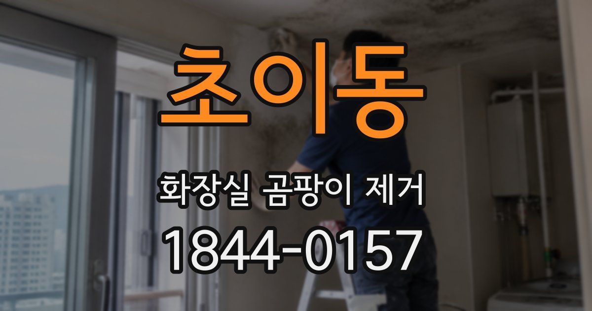 초이동 화장실 곰팡이 제거