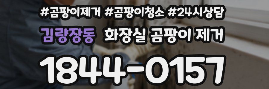 김량장동 화장실 곰팡이 제거