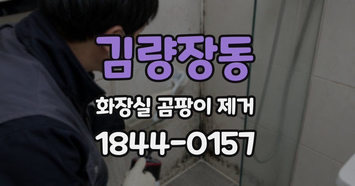 김량장동 화장실 곰팡이 제거