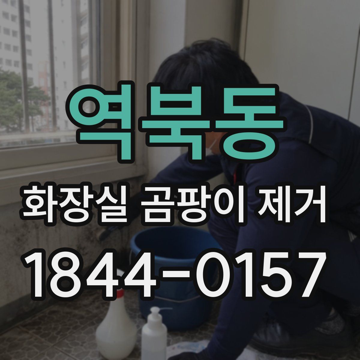 역북동 화장실 곰팡이 제거