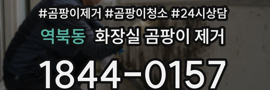 역북동 화장실 곰팡이 제거