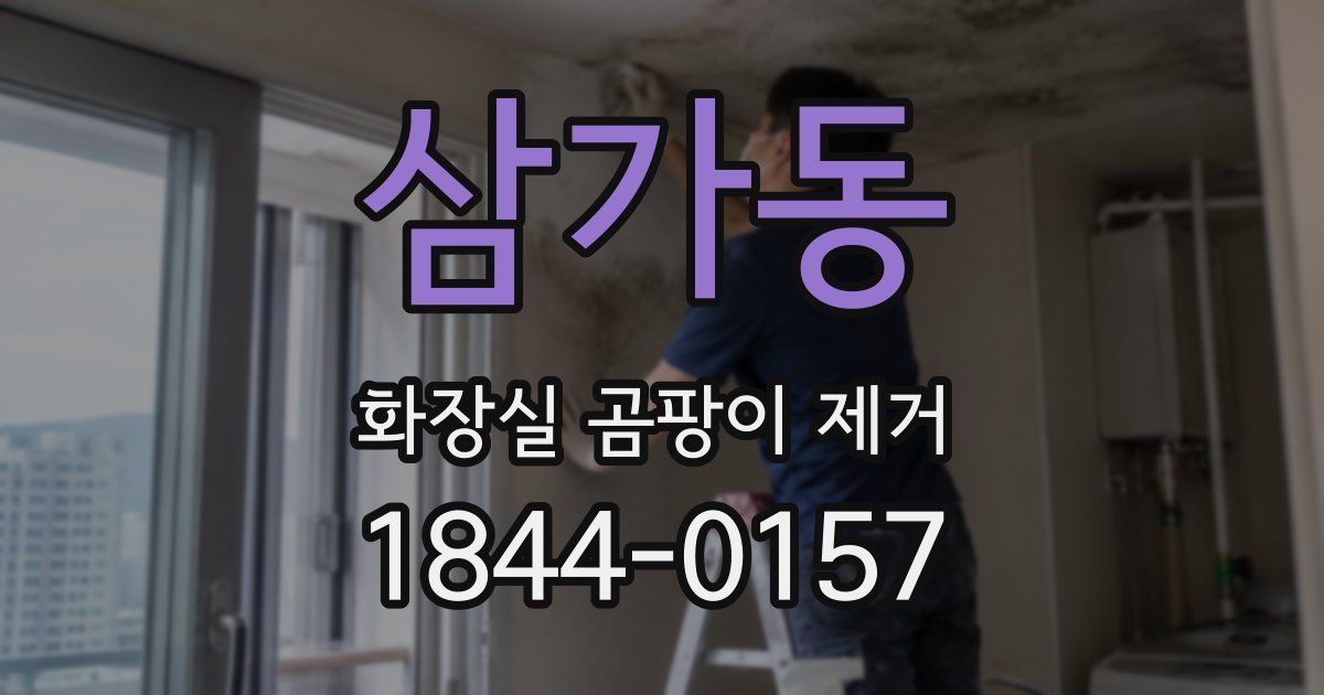 삼가동 화장실 곰팡이 제거