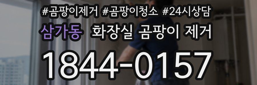 삼가동 화장실 곰팡이 제거
