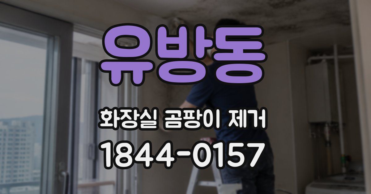 유방동 화장실 곰팡이 제거