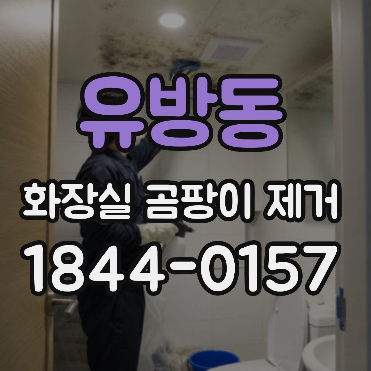 유방동 화장실 곰팡이 제거