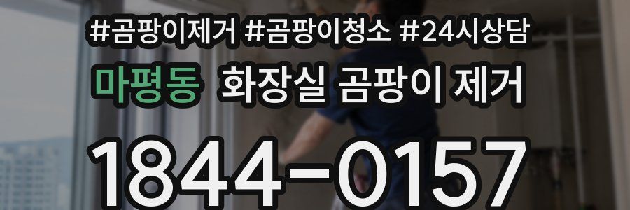 마평동 화장실 곰팡이 제거