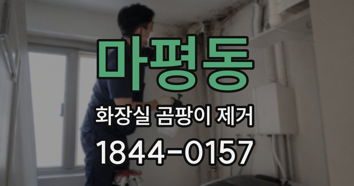마평동 화장실 곰팡이 제거