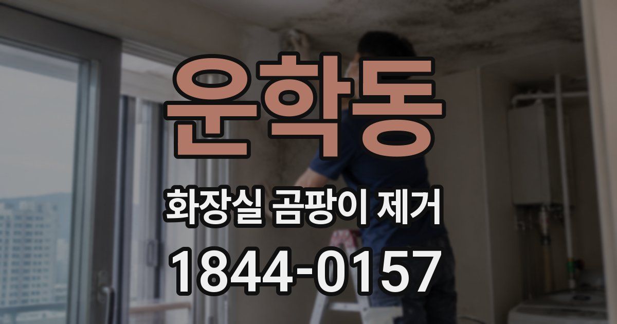 운학동 화장실 곰팡이 제거