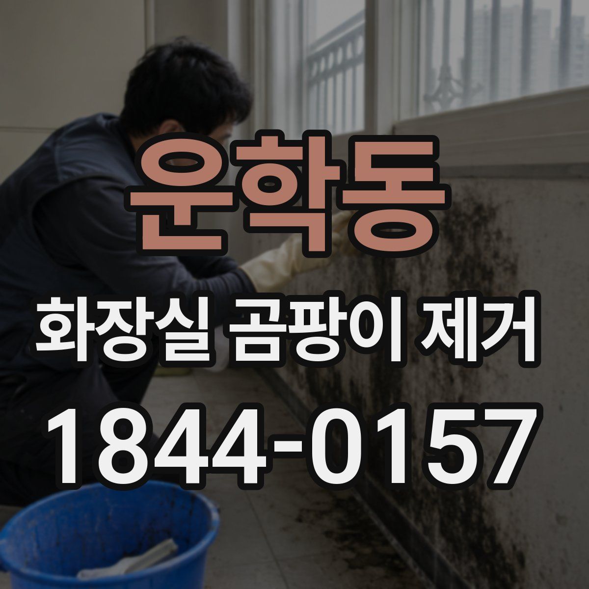 운학동 화장실 곰팡이 제거