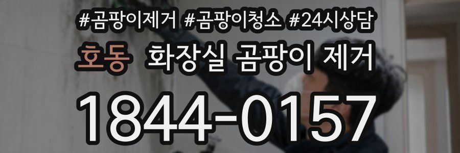 호동 화장실 곰팡이 제거