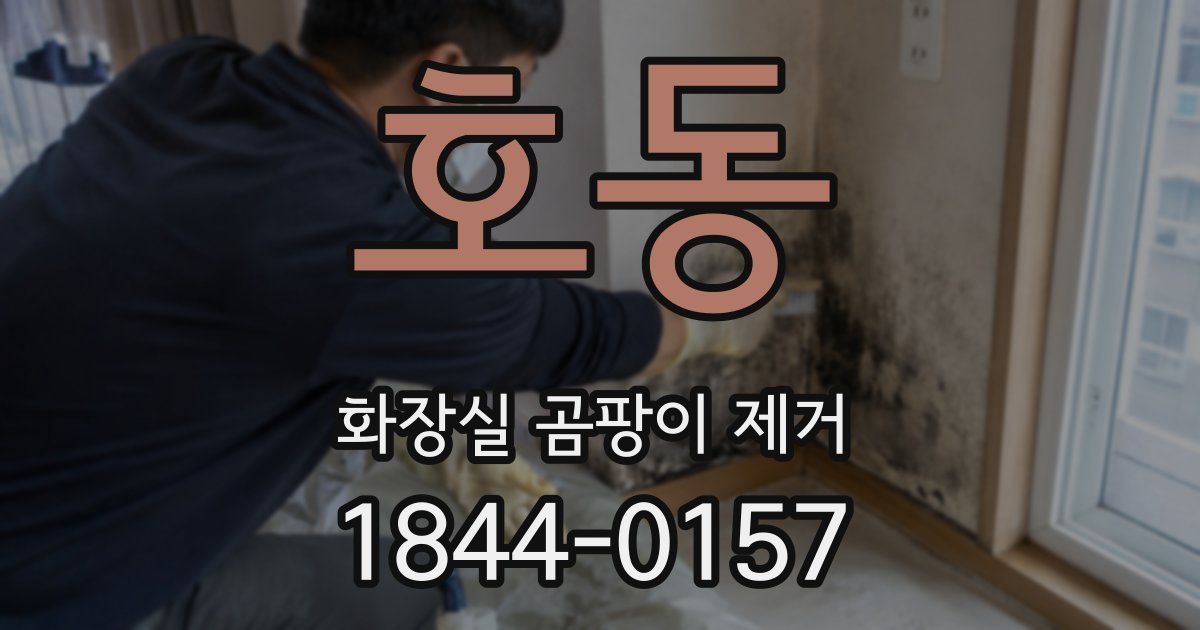 호동 화장실 곰팡이 제거