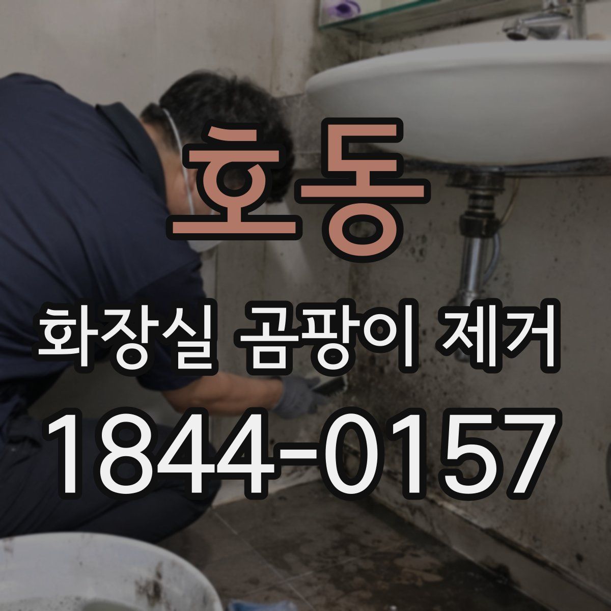 호동 화장실 곰팡이 제거