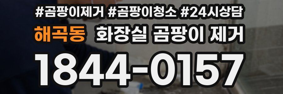 해곡동 화장실 곰팡이 제거