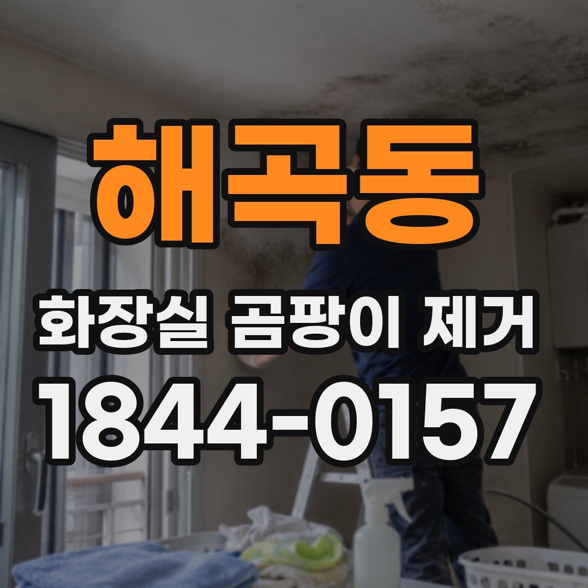 해곡동 화장실 곰팡이 제거