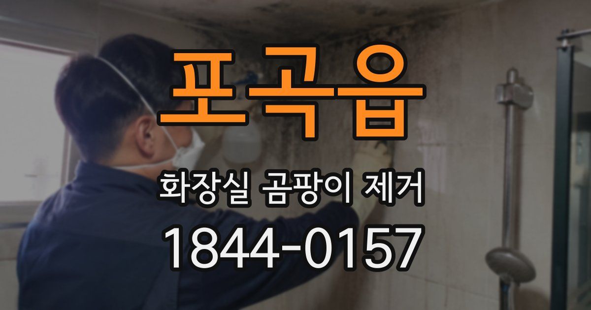 포곡읍 화장실 곰팡이 제거