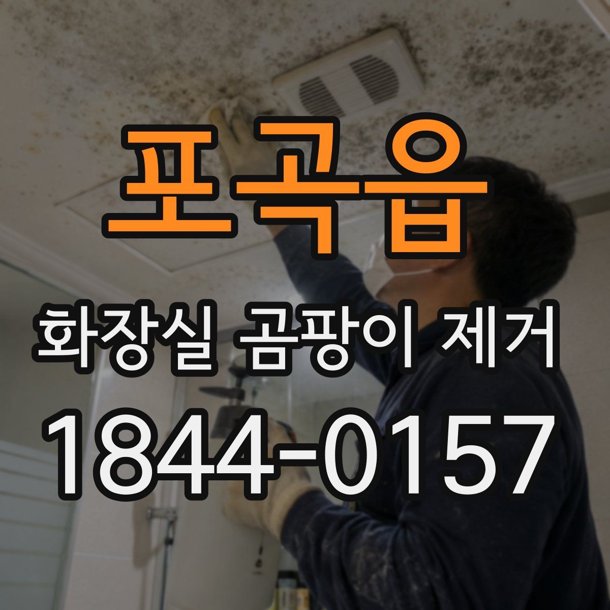 포곡읍 화장실 곰팡이 제거
