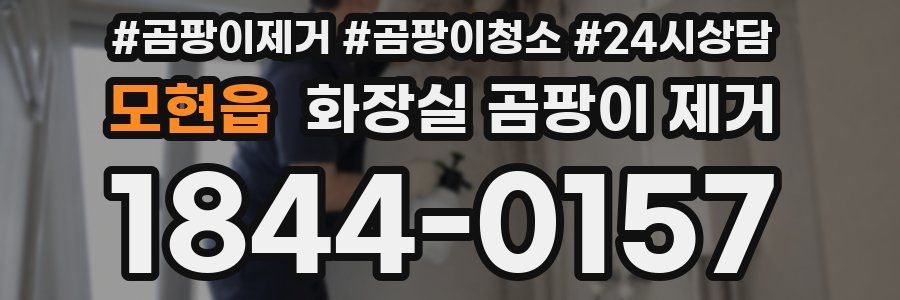 모현읍 화장실 곰팡이 제거