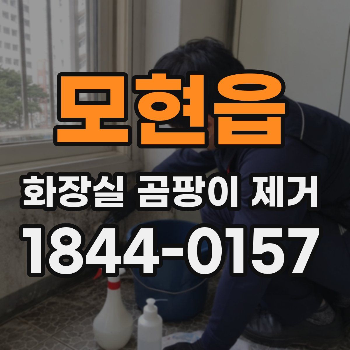 모현읍 화장실 곰팡이 제거
