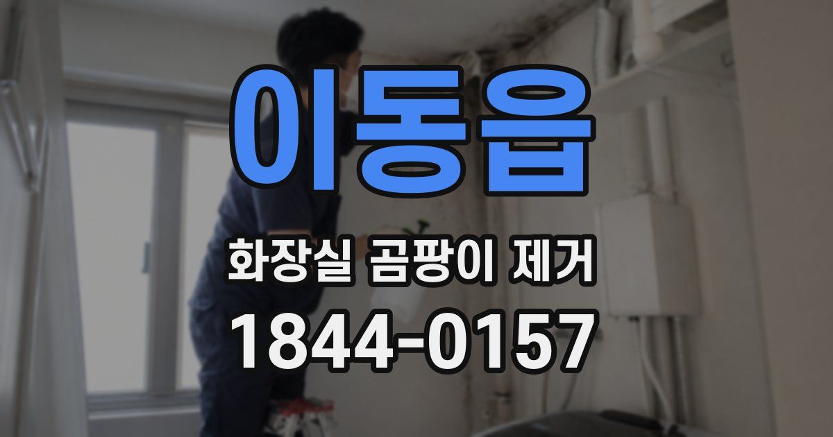 이동읍 화장실 곰팡이 제거