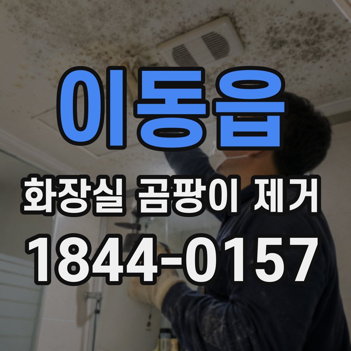 이동읍 화장실 곰팡이 제거