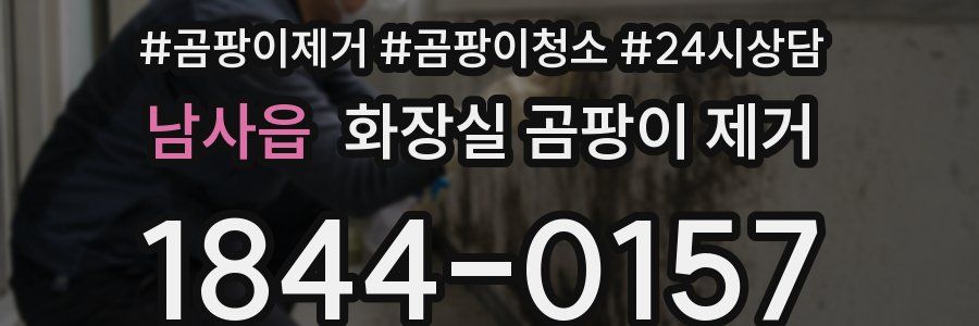 남사읍 화장실 곰팡이 제거