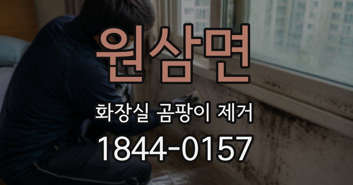 원삼면 화장실 곰팡이 제거