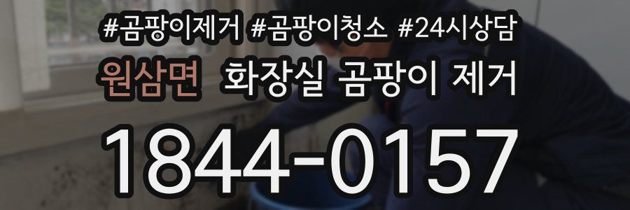원삼면 화장실 곰팡이 제거