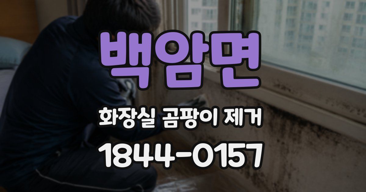 백암면 화장실 곰팡이 제거