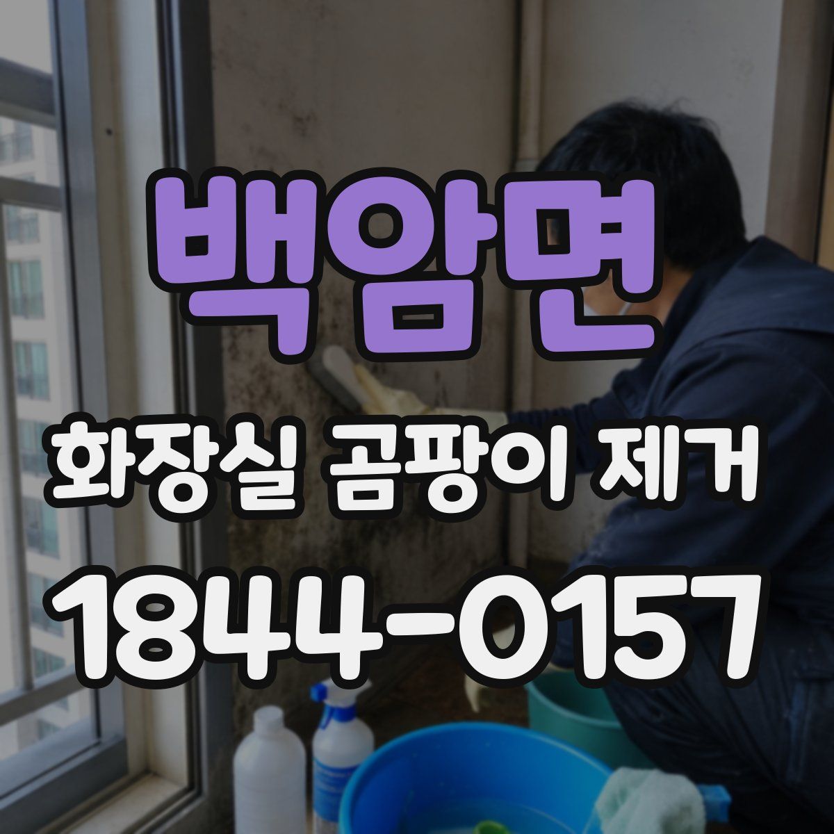 백암면 화장실 곰팡이 제거