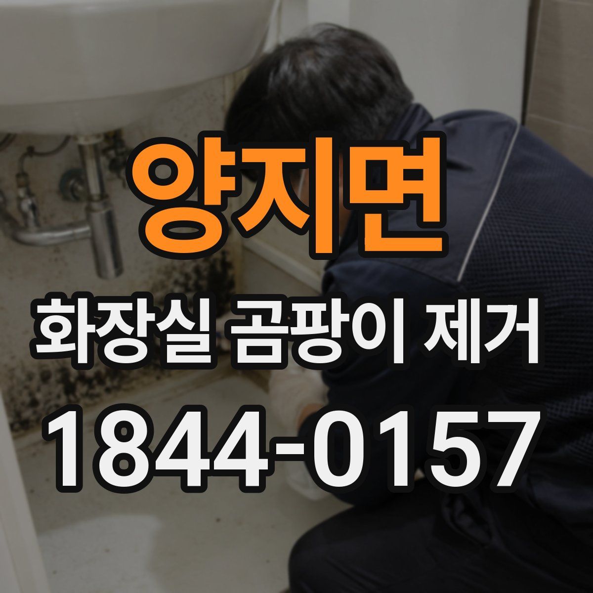 양지면 화장실 곰팡이 제거
