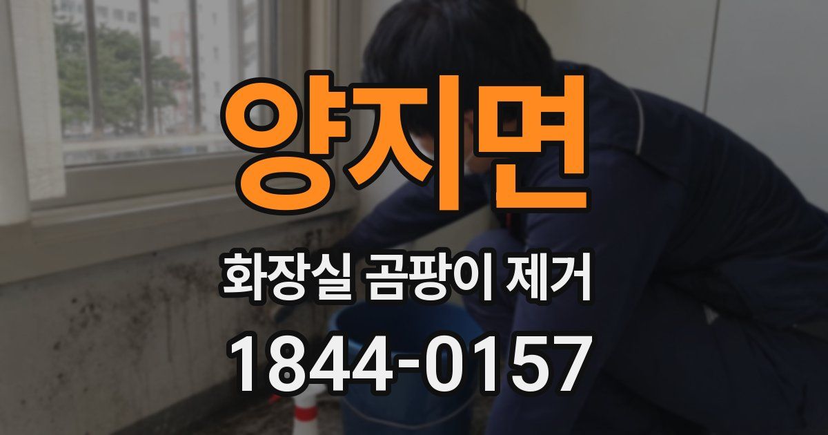양지면 화장실 곰팡이 제거