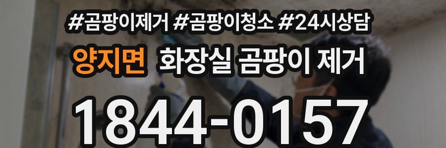 양지면 화장실 곰팡이 제거