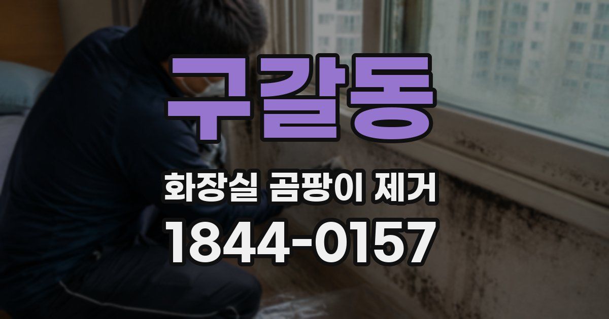 구갈동 화장실 곰팡이 제거