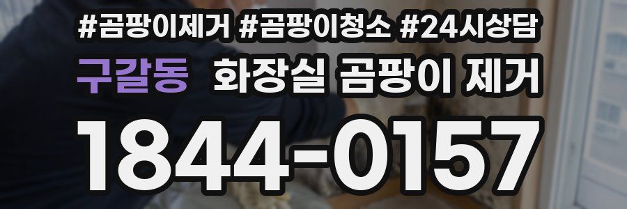 구갈동 화장실 곰팡이 제거