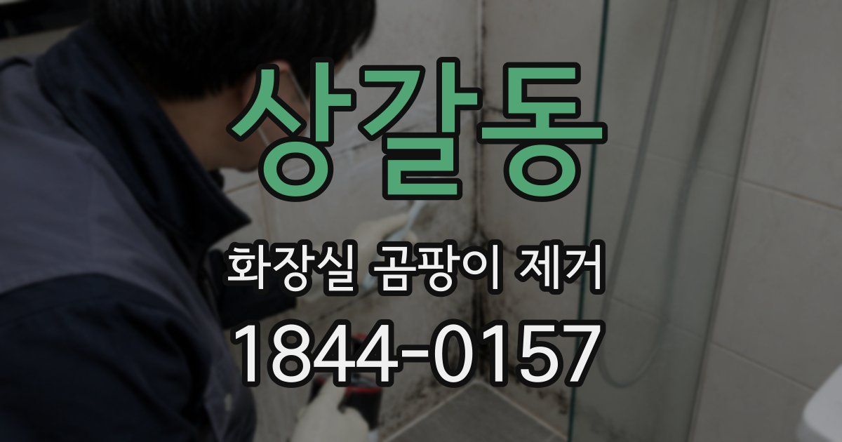 상갈동 화장실 곰팡이 제거