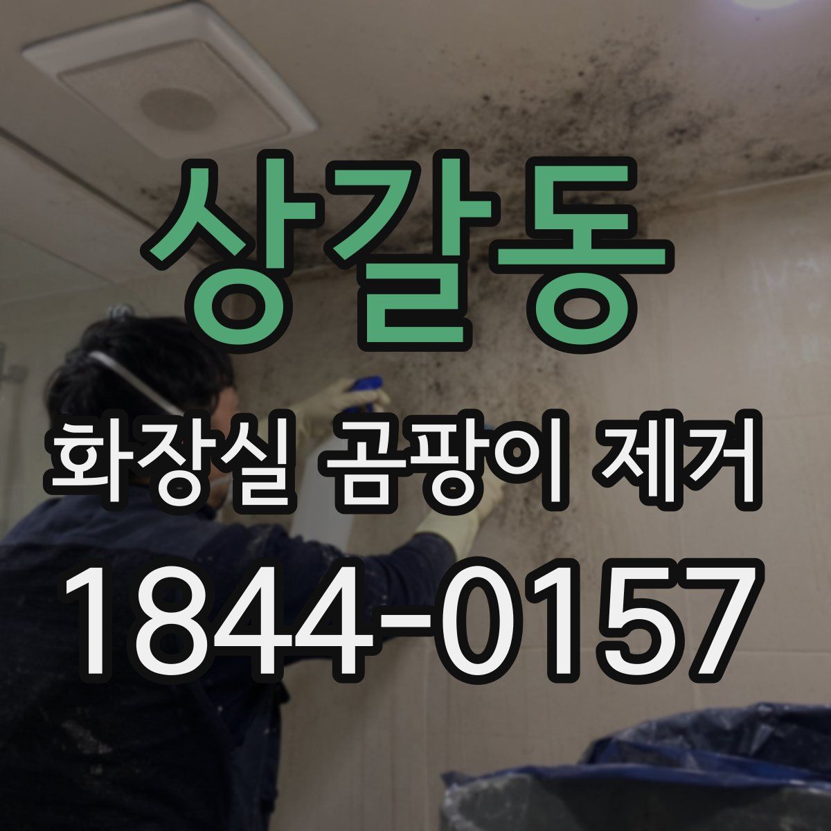상갈동 화장실 곰팡이 제거