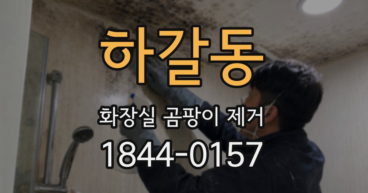 하갈동 화장실 곰팡이 제거