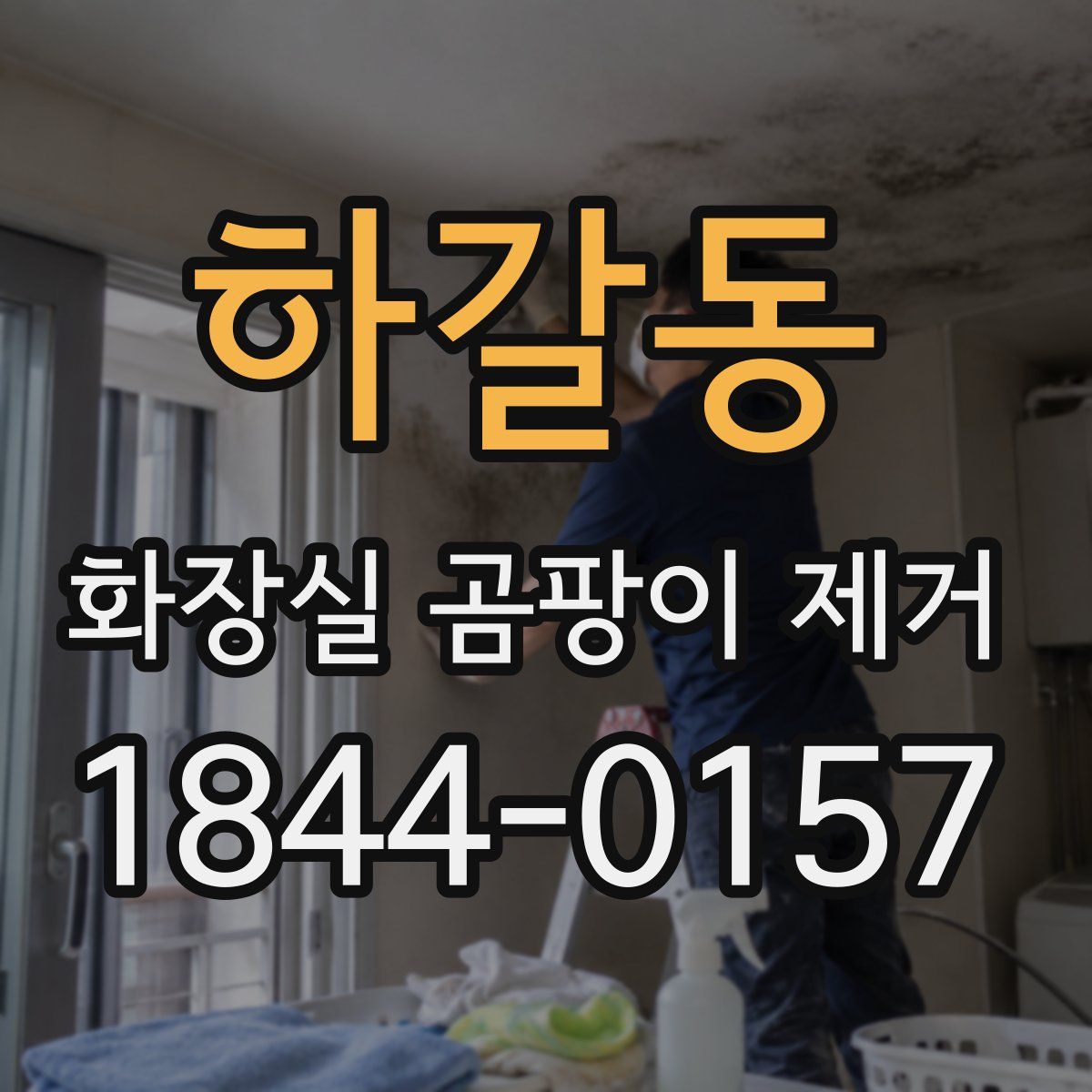 하갈동 화장실 곰팡이 제거