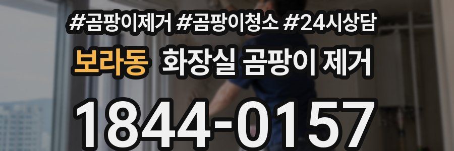 보라동 화장실 곰팡이 제거