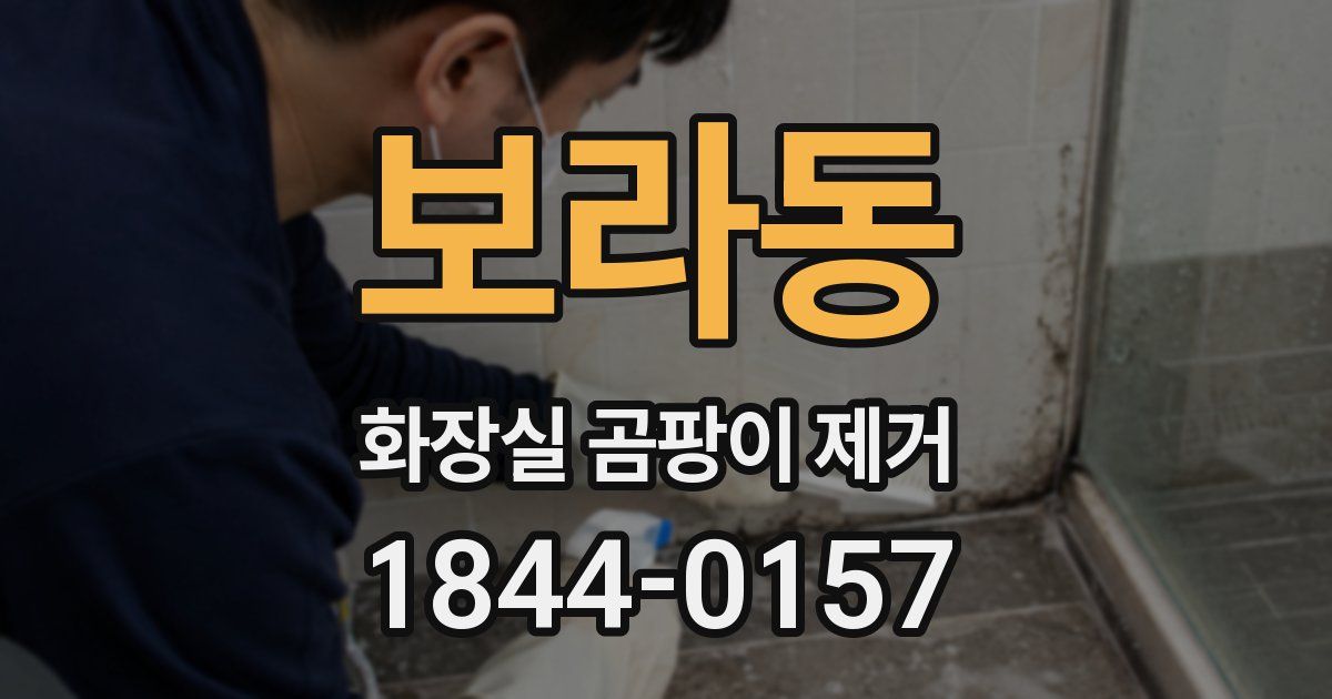 보라동 화장실 곰팡이 제거