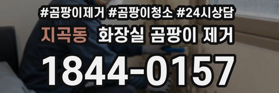 지곡동 화장실 곰팡이 제거